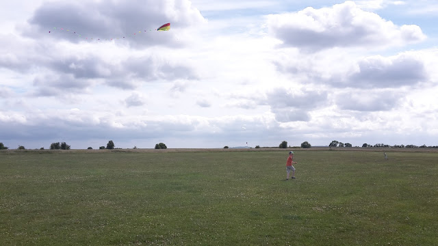 Project 365 2015 day 178 - Kite flying // 76sunflowers