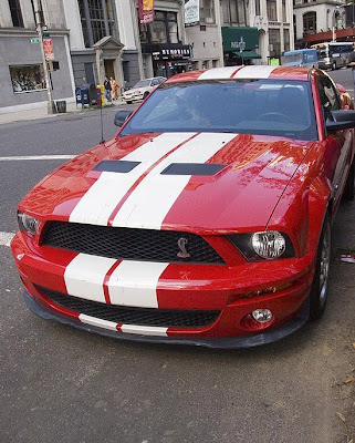 Shelby Mustang GT500, Expedition and Escape Hybrid co-star in “I Am Legend.”