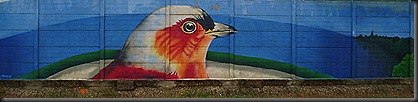 37  Grafitis