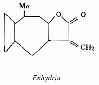 Công thức hóa học Rau Ngổ-Enydra fluctuans-Nguyên liệu làm thuốc Cầm Máu