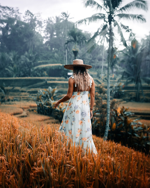 Tegalalang Rice Terrace