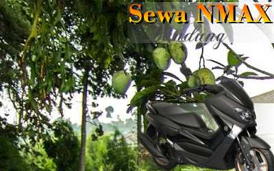 Rental sepeda motor N-Max Jl. Lamdeuh Bandung
