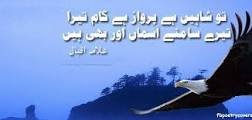 Shaheen Poetry of Allama Iqbal in Urdu 1