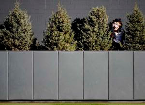 Target Field Batter's Eye