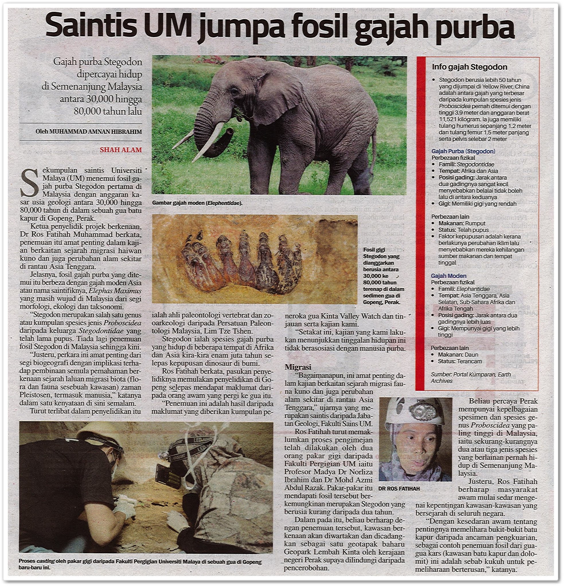 Saintis UM jumpa fosil gajah purba - Keratan akhbar Sinar Harian 10 Oktober 2020