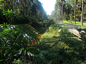 Jardim Botânico de São Paulo