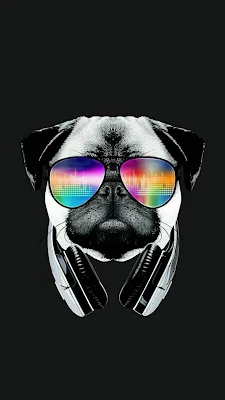iPhone Wallpaper: pug, dog, glasses, rainbow, aesthethic