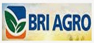 Bank BRI Agro