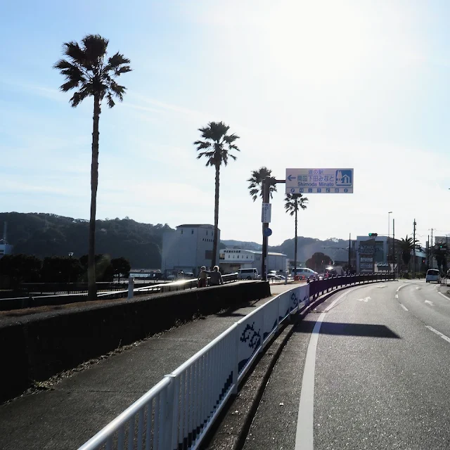 国道135号　下田　道の駅 開国下田みなと