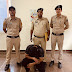 हरियाणा के परचून चिट्टा तसकर को मनाली पुलिस ने लिया हिरासत में 