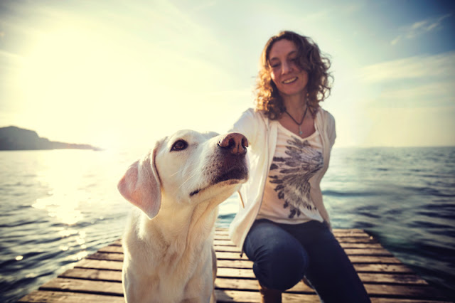 A woman pays attention to her Labrador dog's body language