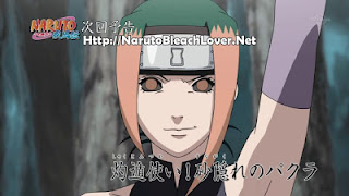 Naruto Shippuden Episode 285 - English Subtitle
