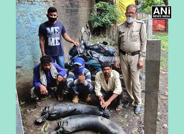 दो मोटरसाइकिलों में 120 लीटर हाथ भट्टी मदिरा सहित तीन आरोपी धराए