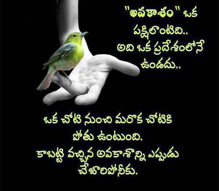 Telugu Useful Quotes