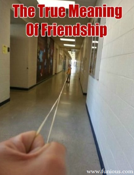 Funny Friendship Pictures