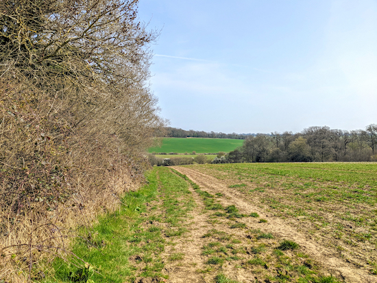 From point 2 head downhill with the hedge on the left and field on the right