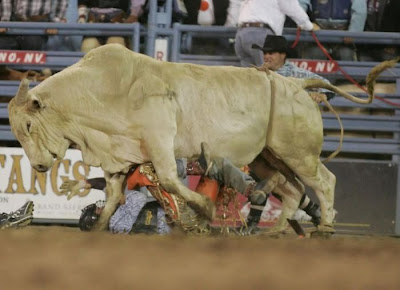 Most Dangerous Moment of Rodeo Seen On www.coolpicturegallery.us