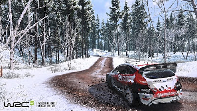 WRC 5 PS3-DUPLEX 2