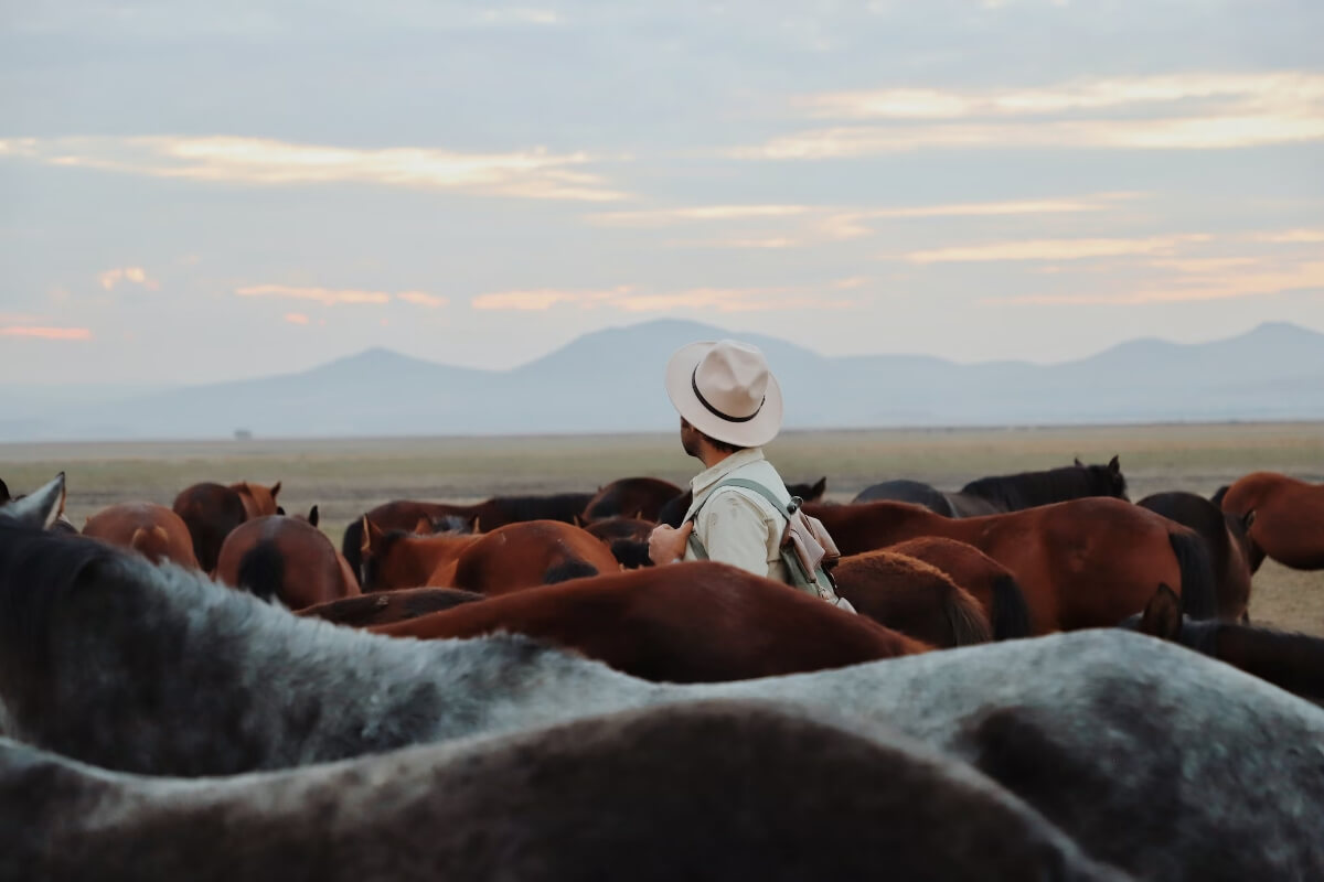 A man in a cowboy hat | wide image