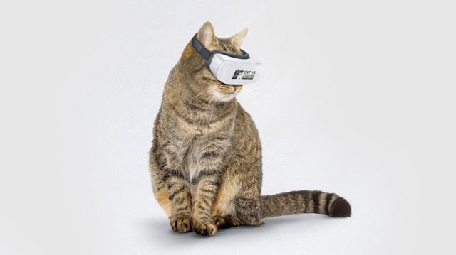 Cat VR device