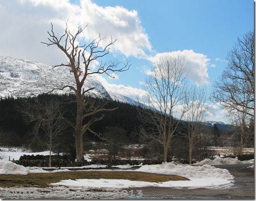 2-Galloway-Forest-Park