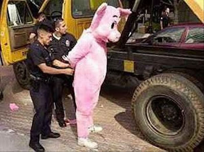 funny arrest pictures