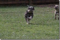 IMG_5505