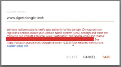 Screenshot of custom domain dialog box with error.