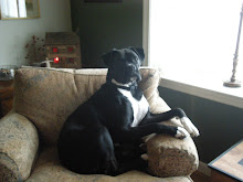King of the house.....