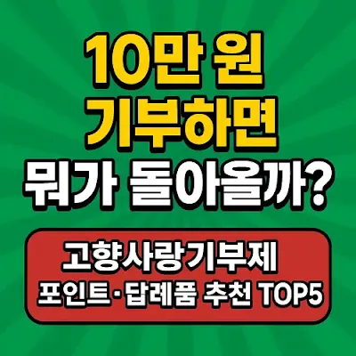 고향사랑기부제 답례품 추천 TOP5 안내 문구