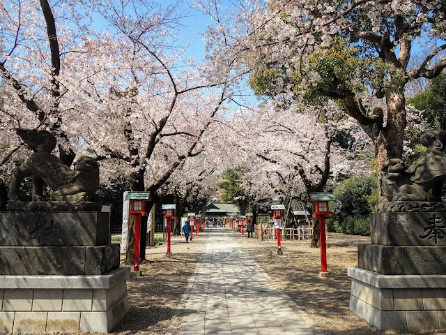 鷲宮神社