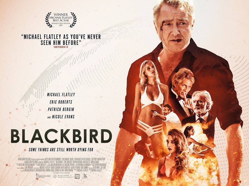 blackbird poster