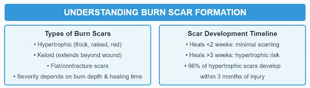 UNDERSTANDING BURN SCAR FORMATION