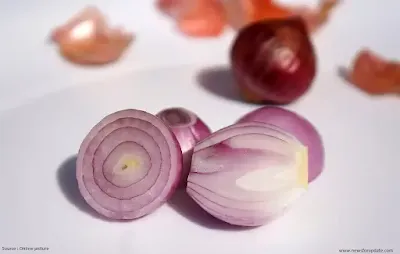 onion juice for hair fall