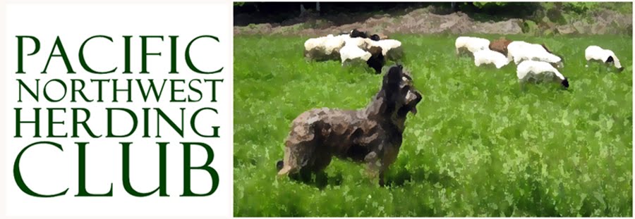 Pacific Northwest Herding Club