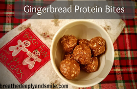 gingerbread-protein-bites-sunwarrior1