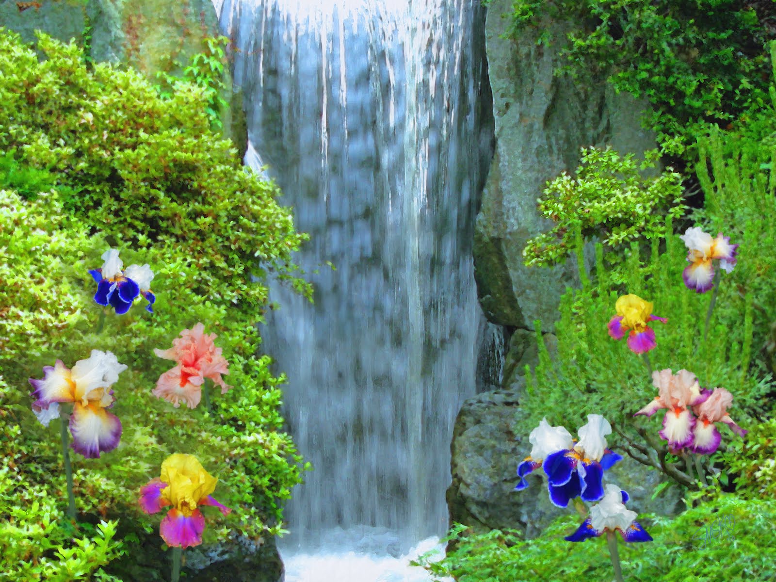 Beautiful Waterfalls with Flowers