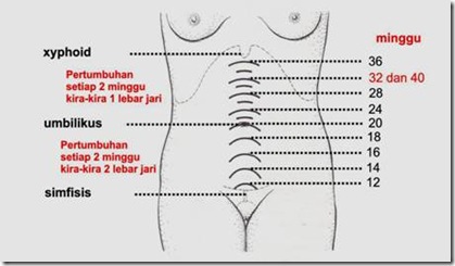 Anamnesa dan Pemeriksaan Obstetri