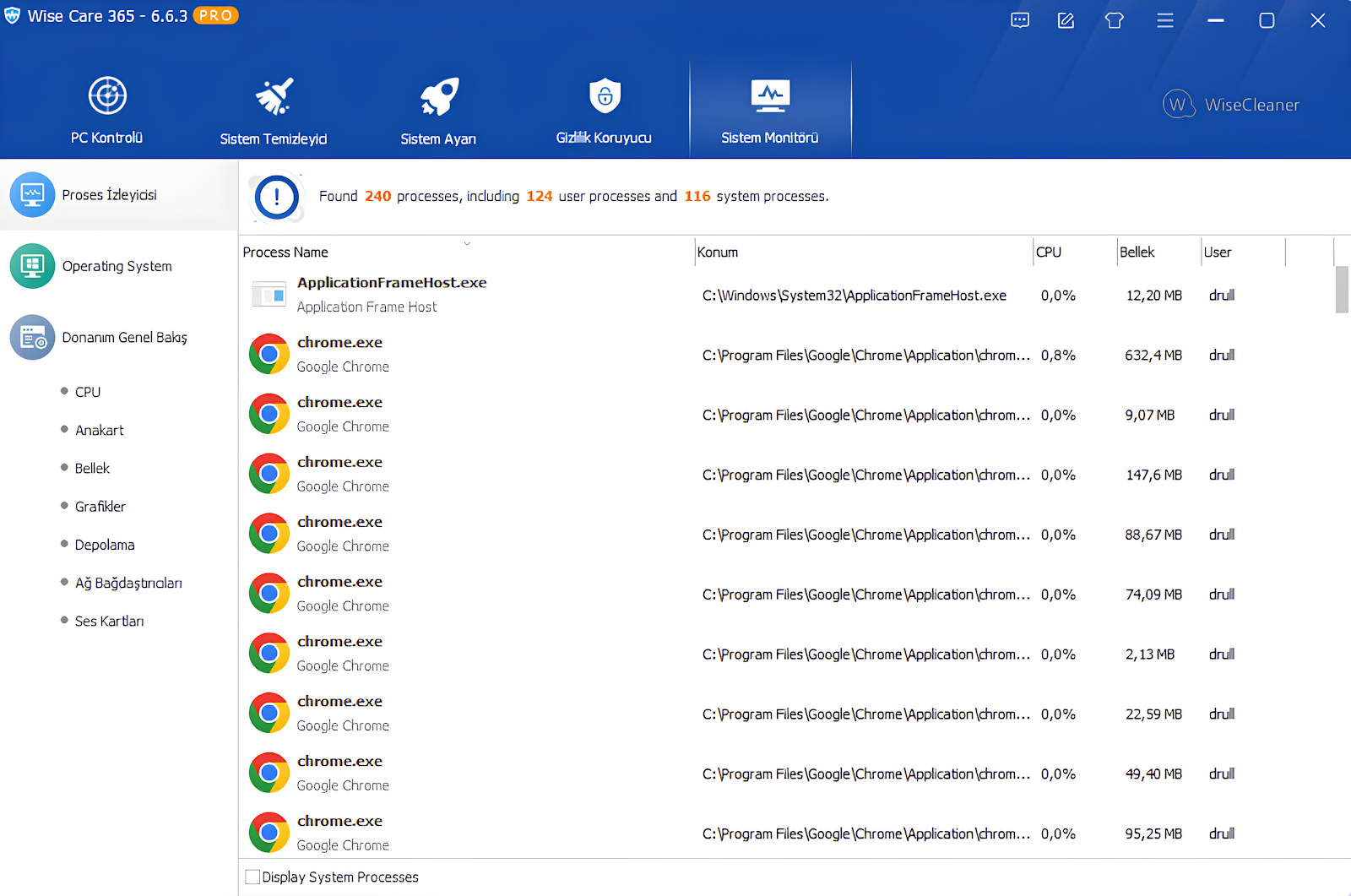 WiseCare 365 PRO: Process Sistem Monitörü