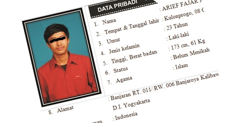 Contoh Curriculum Vitae Terbaru  ariefpedia