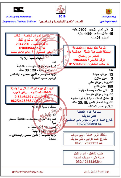 وظائف وزارة القوى العاملة