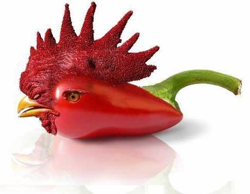Genetically Modified