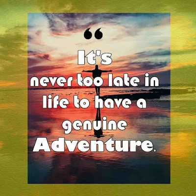 Best Travel adventure quotes