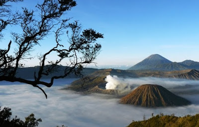 Jalan-Jalan ke Gunung Bromo Jawa Timur