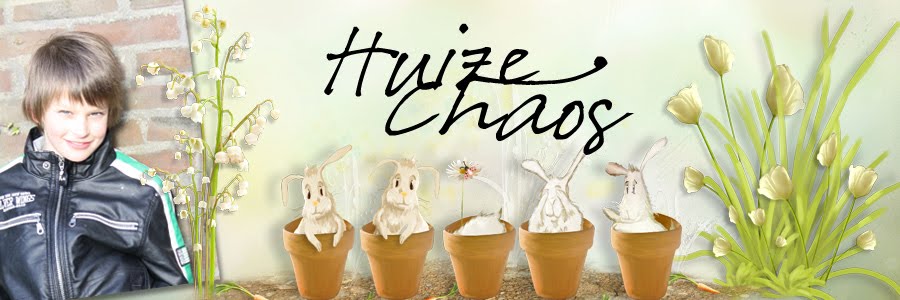 Huize Chaos