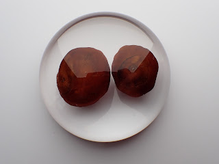 Resin paperweight containing conkers