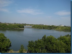 IMG_6577