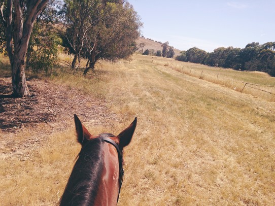 Goodbye to our old home... | A Riding Habit