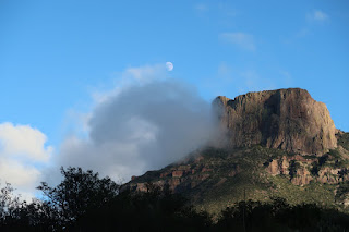 at the Chisos Basin in Big Bend National Park