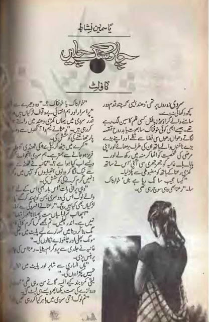 Chalo sang chalen novel by Yasmeen Nishat Online Reading